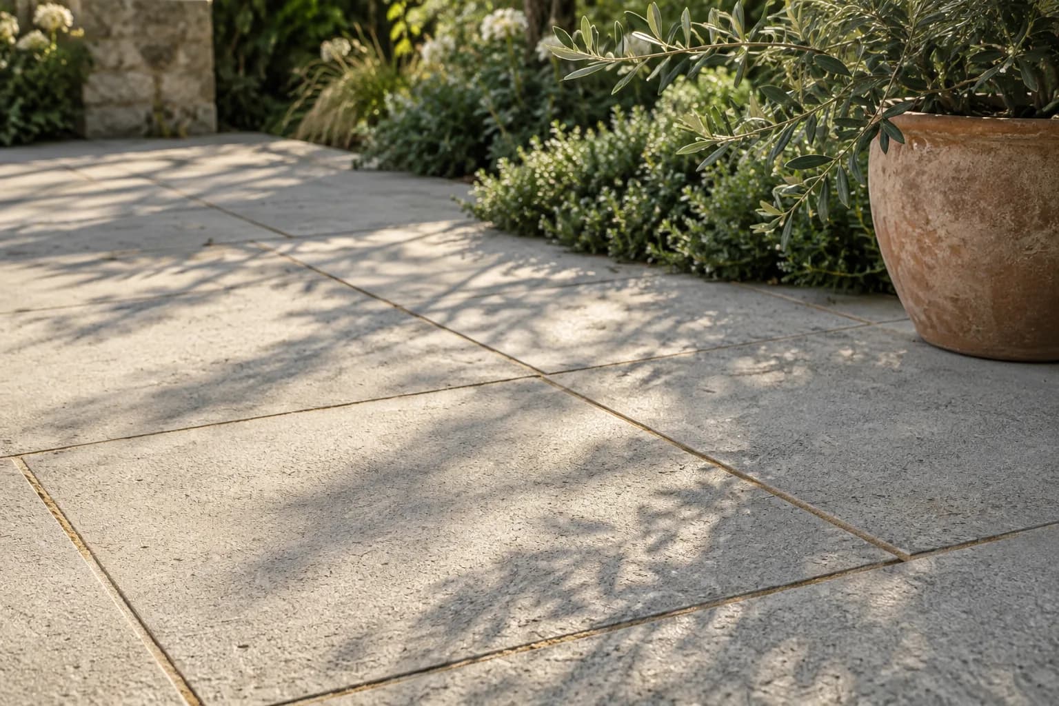 Leaf shadows across textured concrete paving beside a terracotta planter